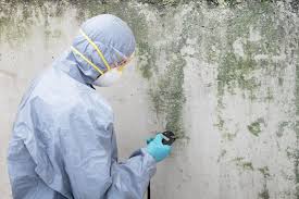 Why You Should Choose Our Mold Remediation Services in Kissee Mills, MO